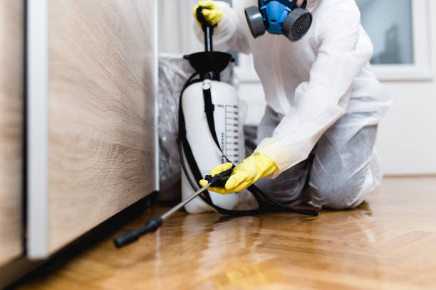 Best Mosquito Control Services  in Glendale, MO