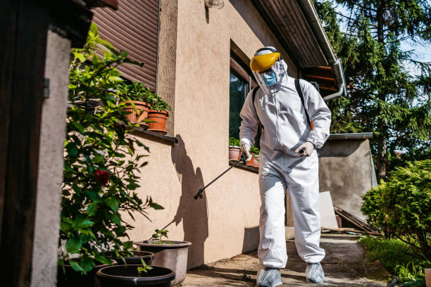 Best Residential Pest Control  in Glendale, MO