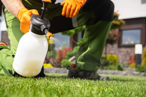 Best Local Pest Control Services  in Glendale, MO