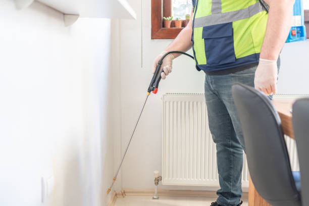 Best Wasp Removal Services  in Glendale, MO